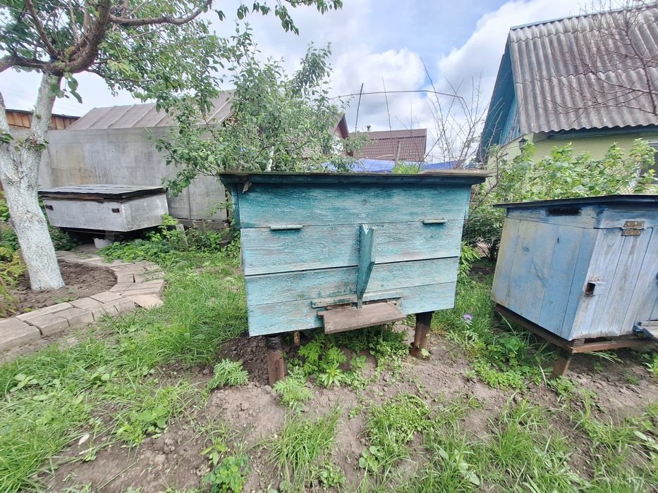 Продам гарні вулики
