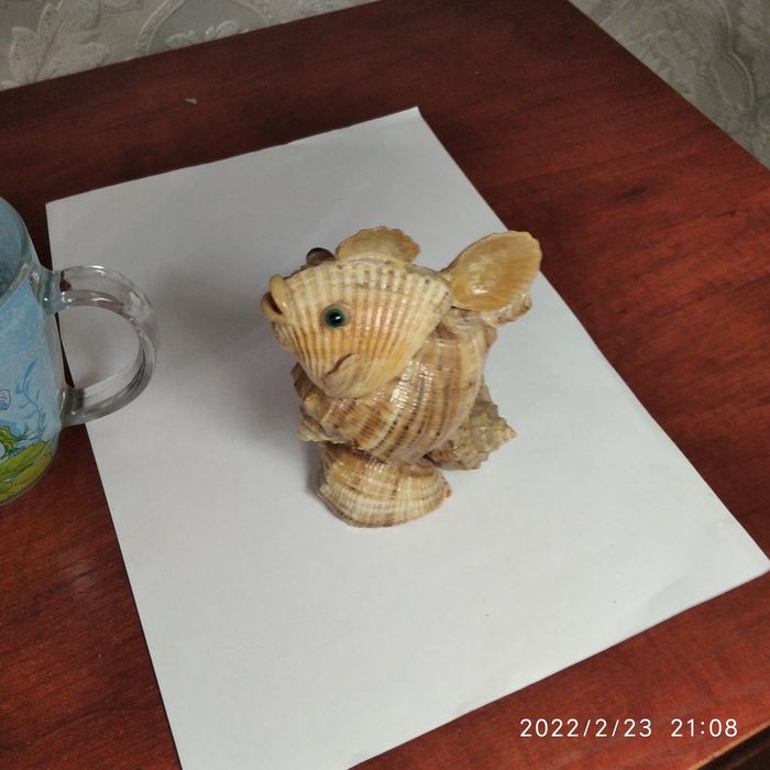 Ракушка морська сувенірна
