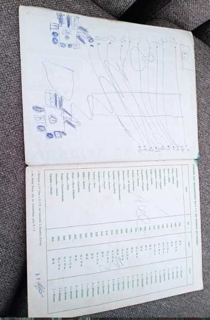 Caderneta Mundial Futebol Espanha 82