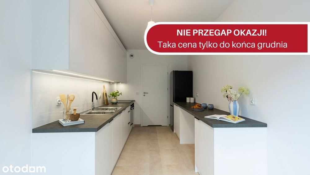 Bezpośrednio I Przyjazne zwierzętom I W centrum miasta