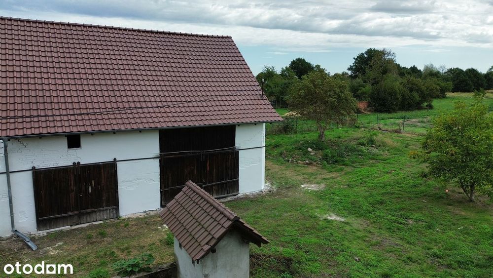 Zdjęcie 3