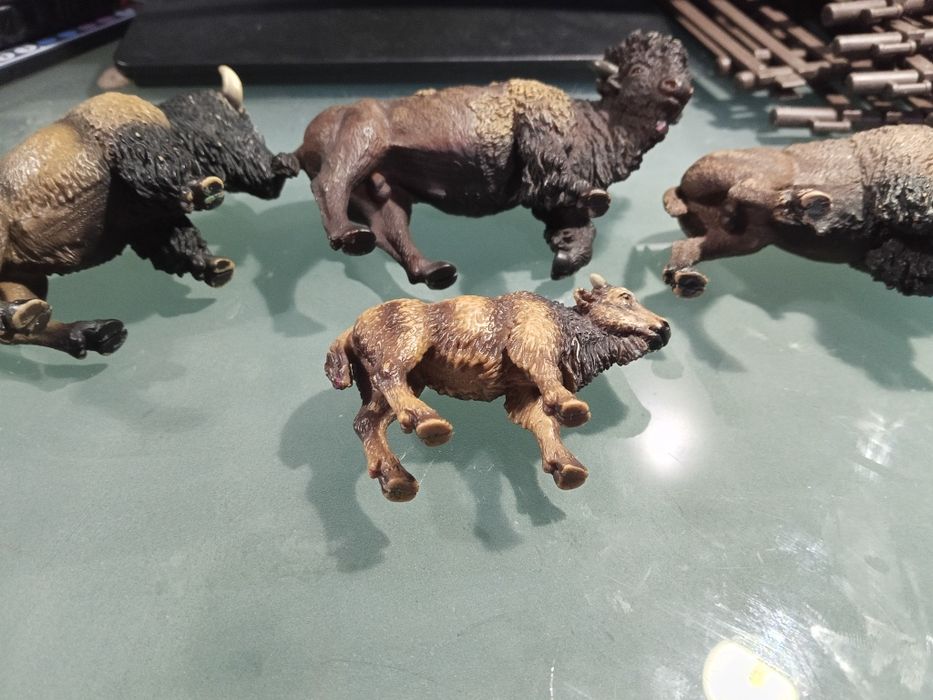 Żubr bizon żubry bizony schleich rodzina