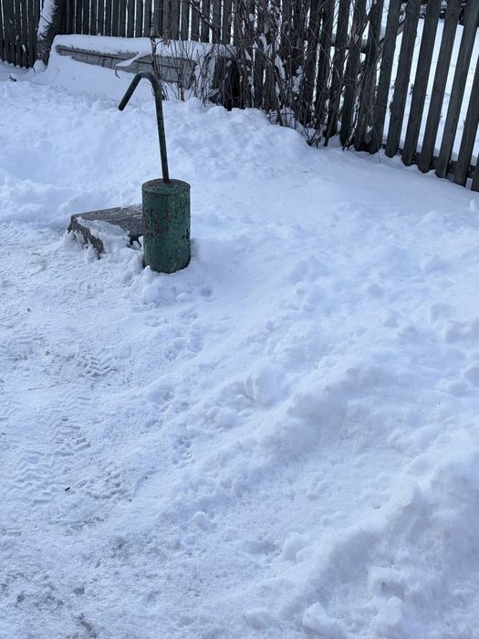 Будинок та молодий садок 300 дерев