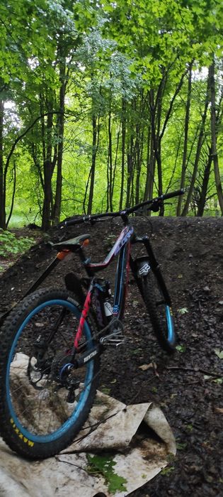 Giant glory freeride