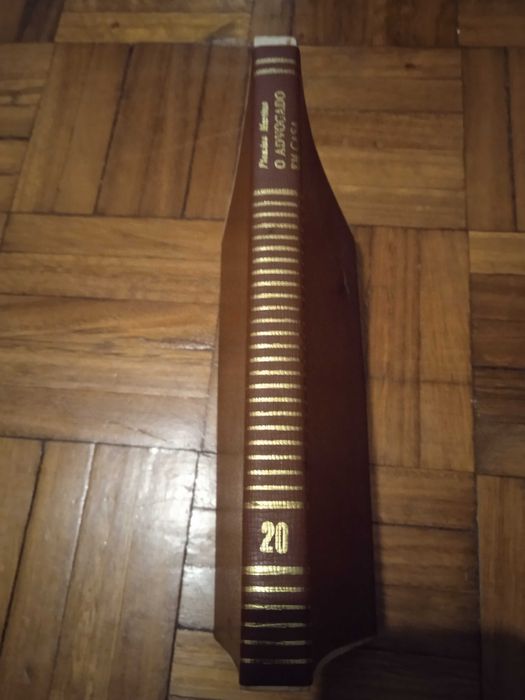 O Advogado em Casa - Flamino Martins