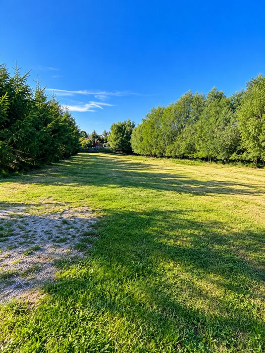 Czubrowice – działka 25 arów przy drodze asfaltowej, zabudowania, wynajem - Widok 3