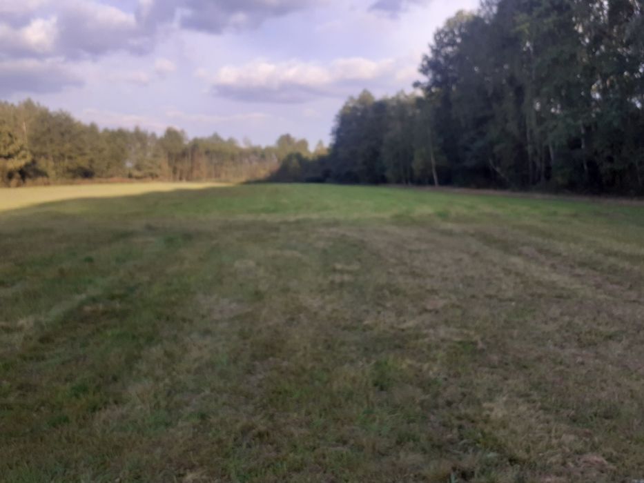 Wydzierżawię działkę 40000 m2