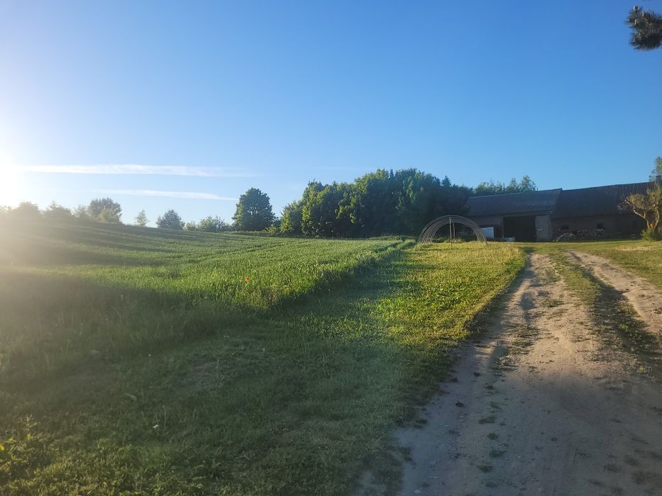 Sprzedam dom na dużej działce