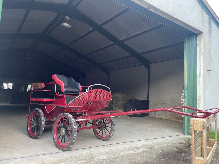 Maratona para cavalo