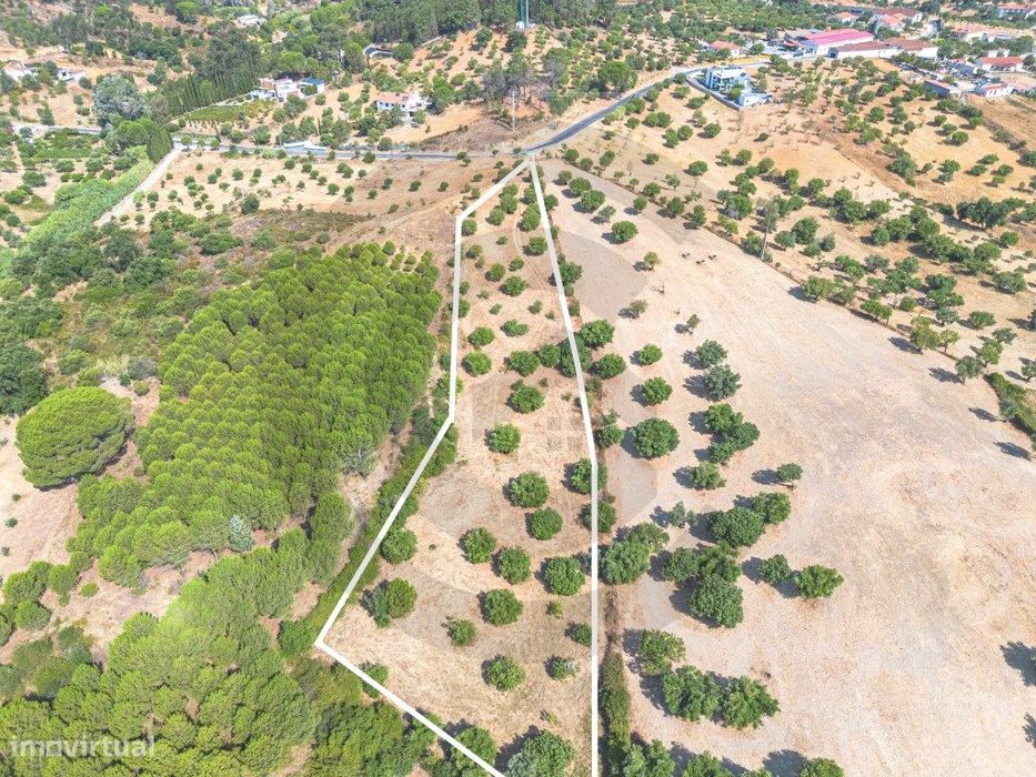 Terreno