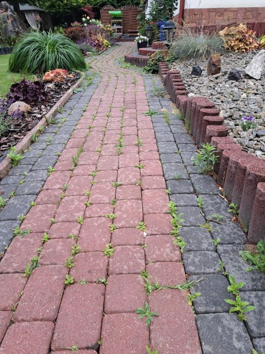 Profesjonalne mycie kostki brukowej, elewacji, dachów