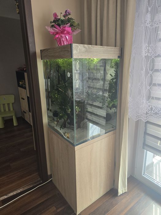 Akwarium 50x50x70wys pełen zestaw