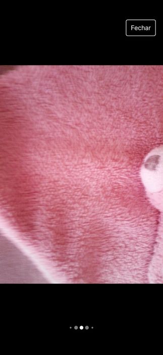 Cobertor soninho, brinquedo bebé.