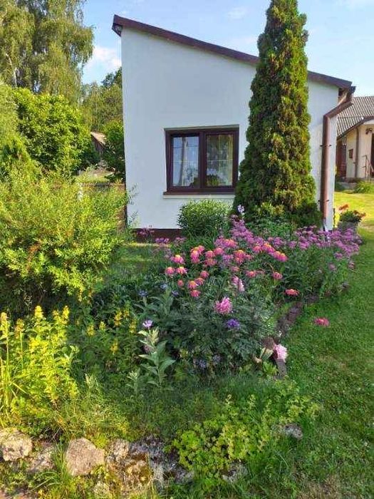 Domek wypoczynkowy Wierzbowy Gaik