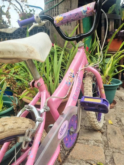 Bicicleta Disney Princesas (4-6 anos)
