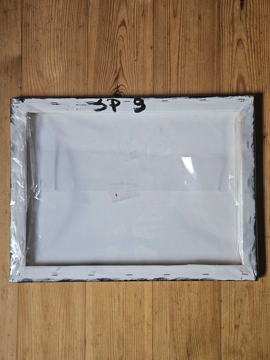 Obraz lew A3 Malowanie po numerach