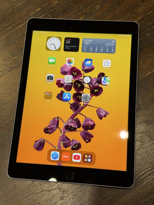 Ipad pro 9,7 1-gen wi-fi 32gb