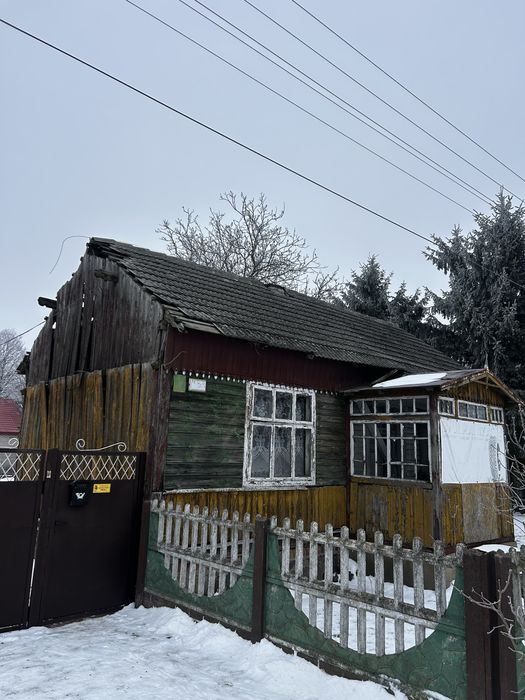 Oddam drzewo za rozbiórke