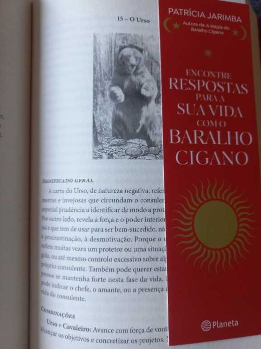 Encontre Respostas para a Sua Vida com o Baralho Cigano - Patrícia Jarimba