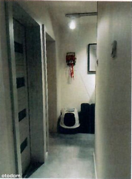 Zdjęcie 4