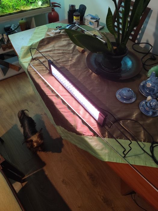 Iluminação Aquário