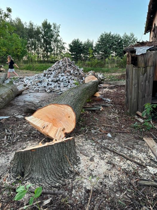 Sprzedam kłody drzewa modrzewia i lipy