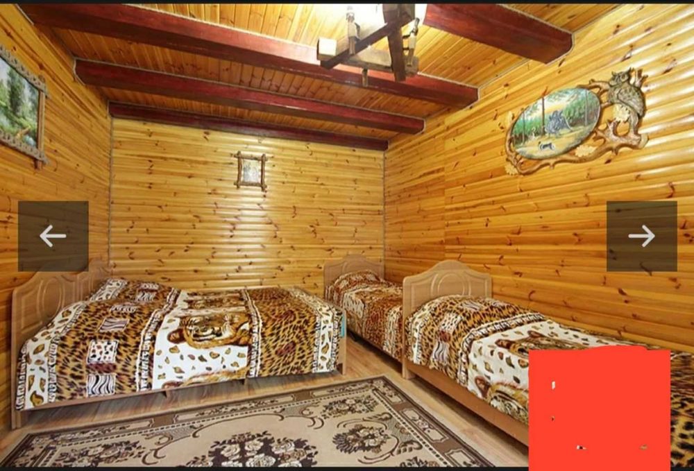 Здається будинок,в с.Дийда,,.біля озера