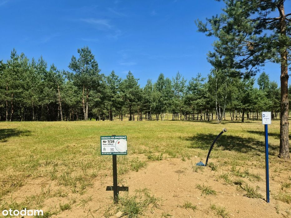 SLOW MAZURY-Uzbrojone działki budowlane z MPZP nad JEZIOREM, 2h z W-wy - Widok 4