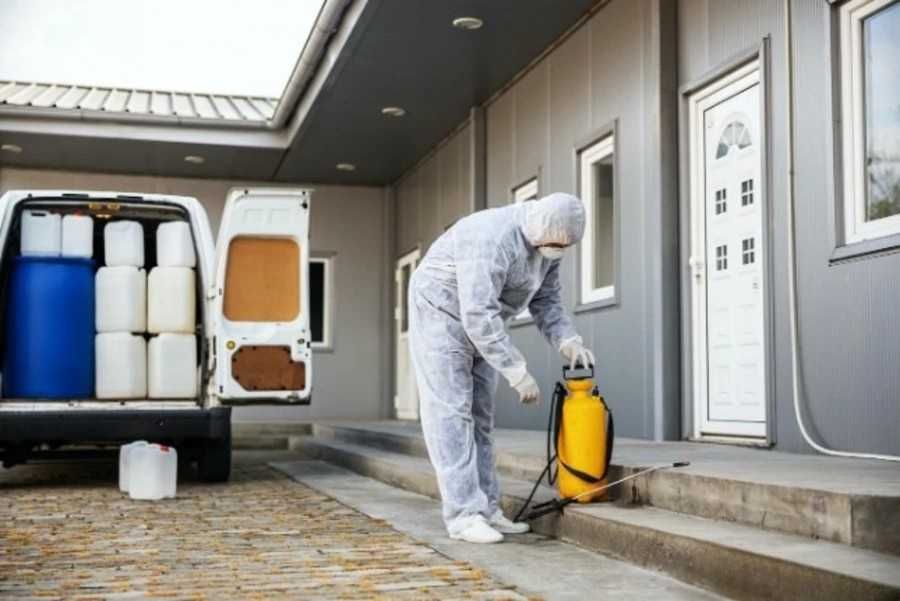 Usuwanie pluskiew Wrocław – szybki dojazd, 7 dni w tygodniu