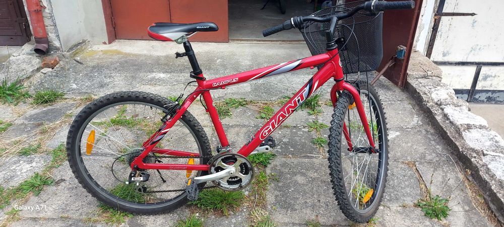 Rower górski Giant campus