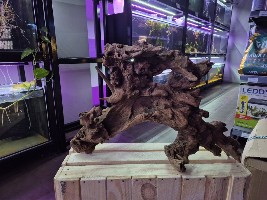 Korzenie spider, pień bagienny, szybko tonące duże i małe red driftwoo