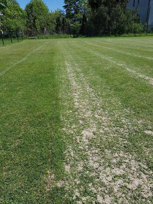 Piasek do piaskowania trawników * Piasek kwarcowy do trawników