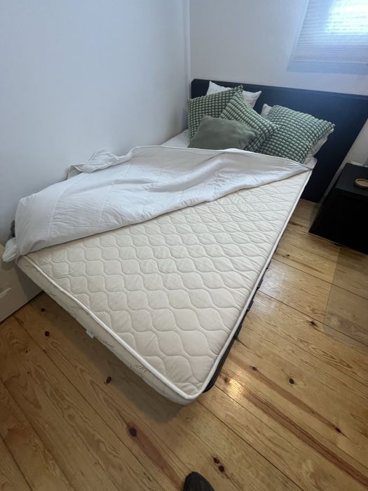 Cama + Colchão Ortopédico Deluxe 90x190 Anatómico e Antialérgico