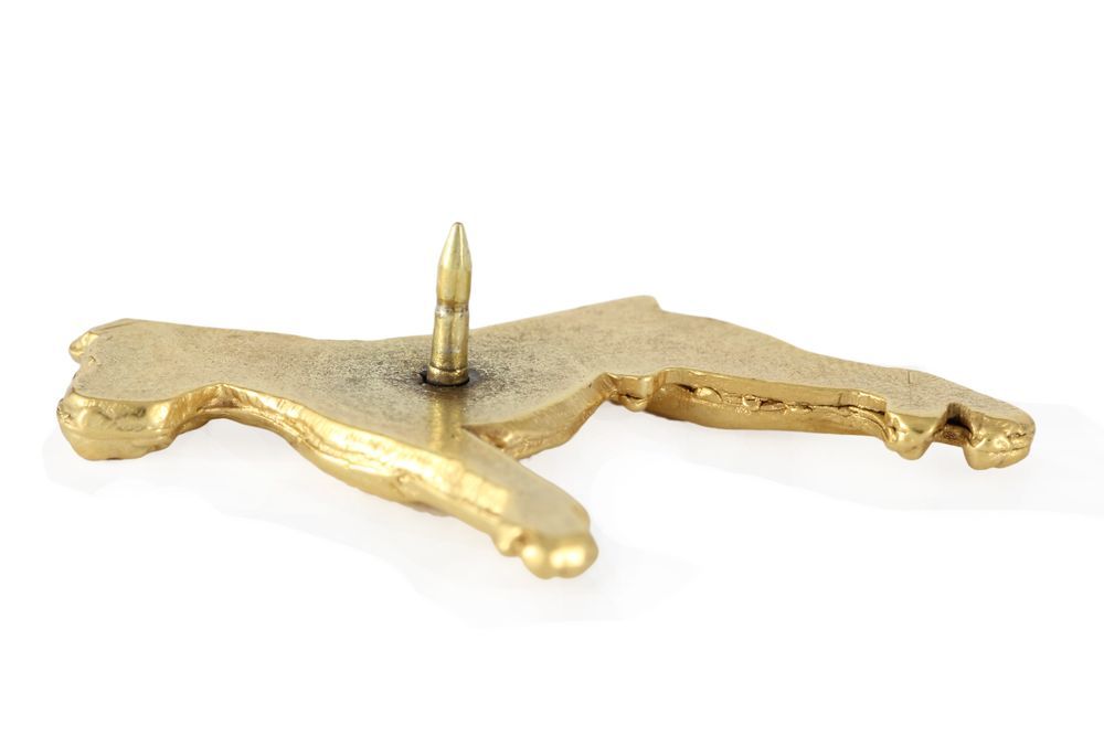 Bokser pin pozłocony Art-Dog