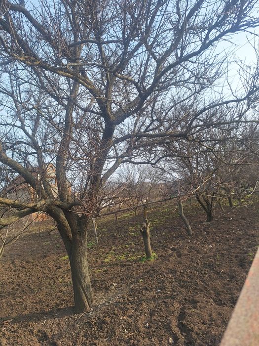 Продам участок в сог. Волна,20сот угловой, 18т$