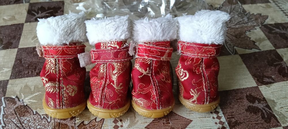 Одяг для собаки дівчинки.