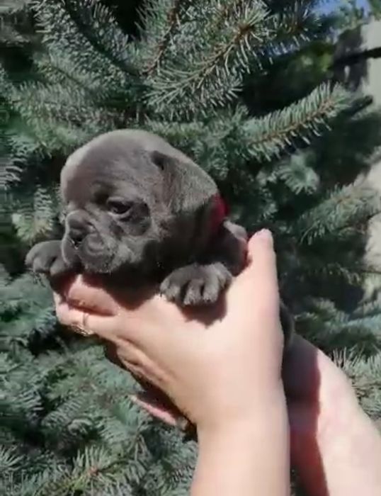 Гарний хлопчик та дівчинка локація Харків