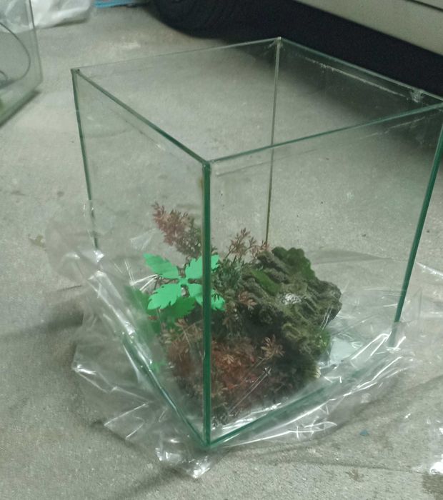 Aquário para peixes para decoração