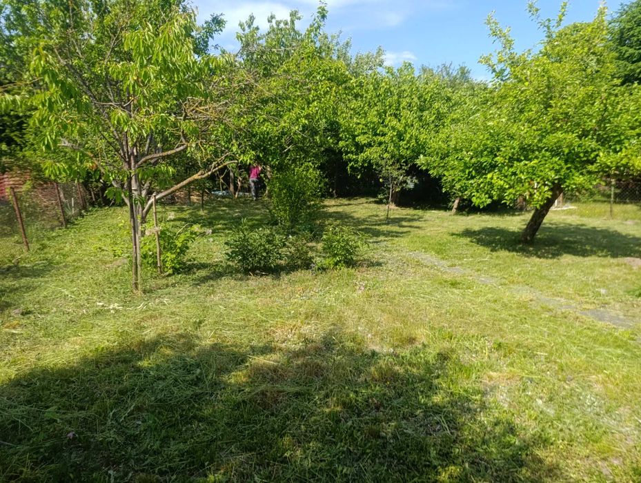 Działka ROD Słonecznik Iława - Widok 4