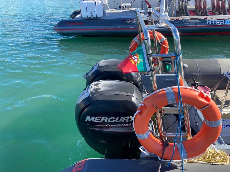 Semi-Rígido Narwhal