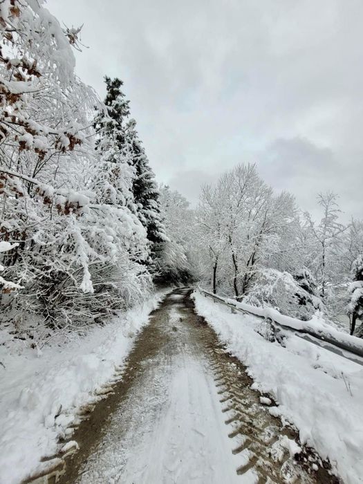 Zwolniii sie apartamenty na Swieta i SylwestraSYLWESTER nad jeziorem A