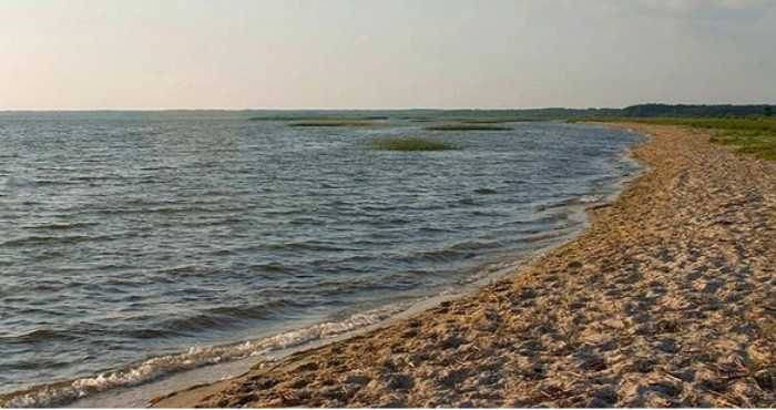 Продається земельна ділянка-пай