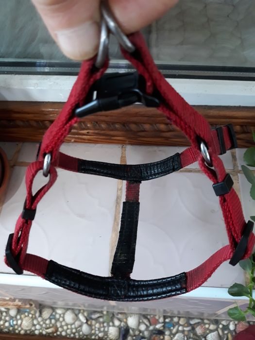 Светящийся флуорисцентный LED ошейник 46 см шлейка для собак