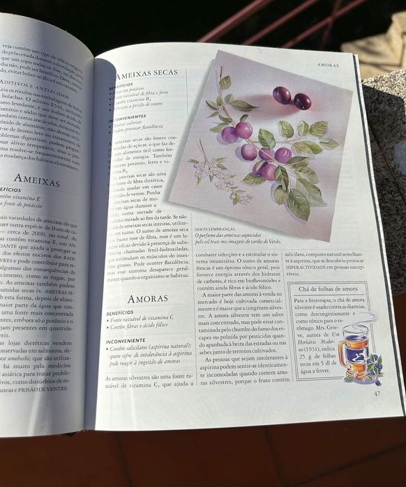 Alimentos Bons, Alimentos Perigosos