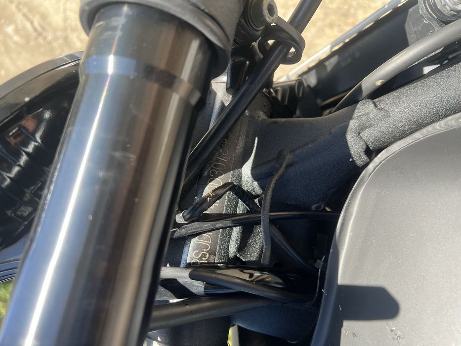 Geon Scrambler 300 2024