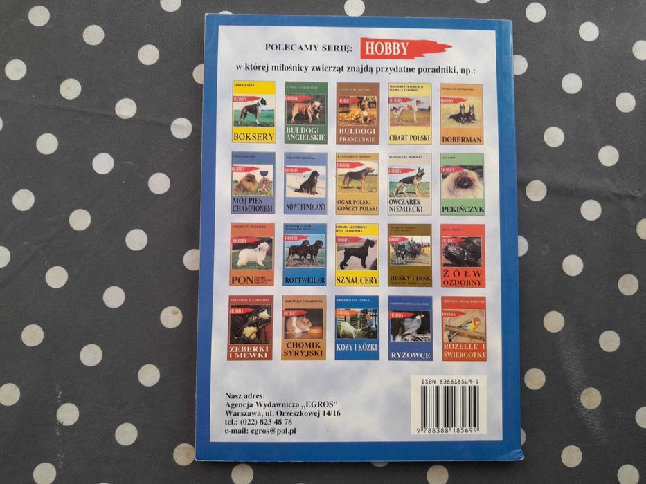 Yorkshire terrier Marzena Kaca - Bibrich