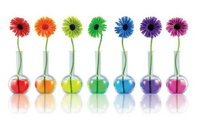 Краситель флористический через стебель для срезанных цветов.