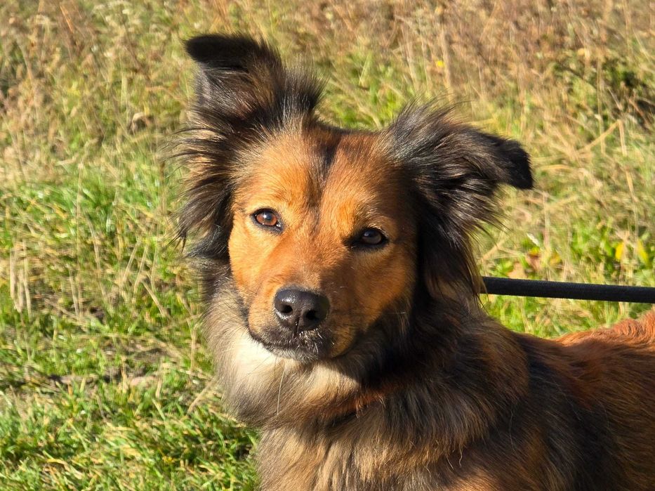 Gigi- prawdziwa piękność.