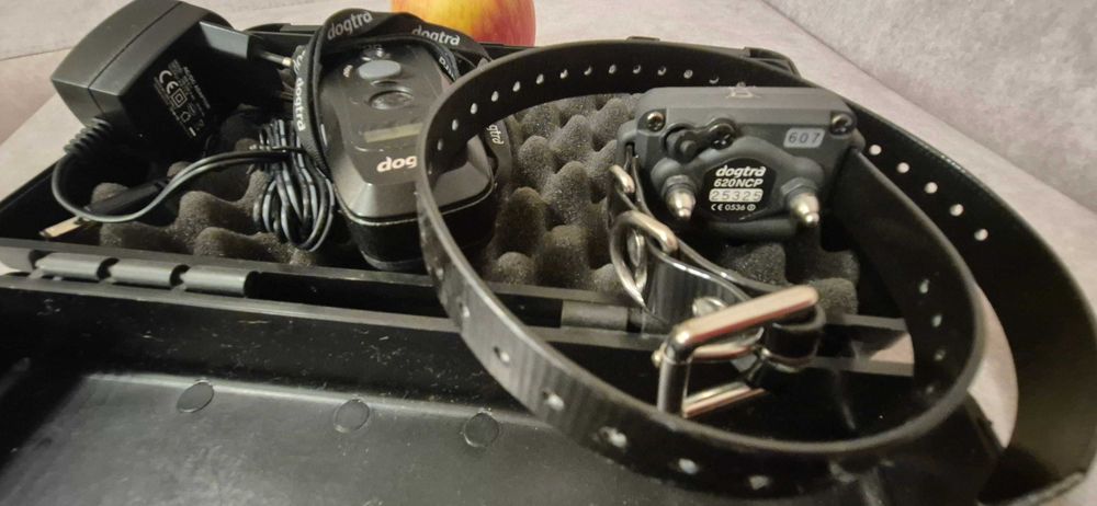 Dogtra, zestaw do treningu psa