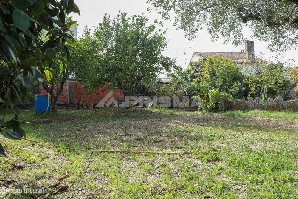 Rustic Land for Sale in Amarelos, Sarnadas de Ródão